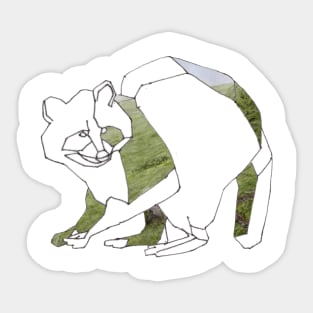 Polygon Racoon Sticker